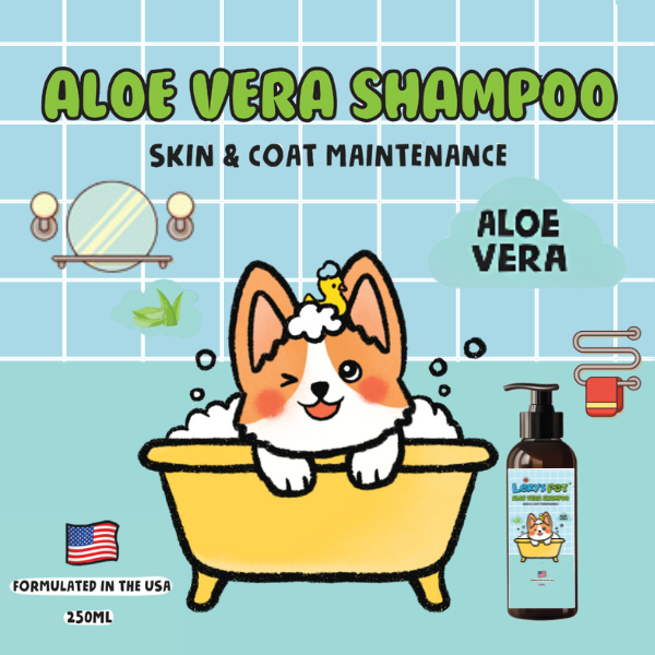 Shampoo Aloe Vera  250ML | Menjaga Kulit Lebih