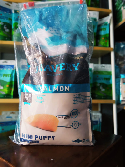 Bravery Salmon Mini Puppy 2kg - leryspet