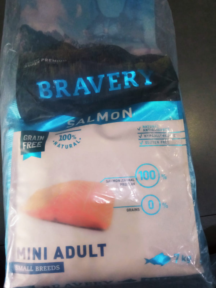 Bravery Salmon Mini Adult 7kg - leryspet