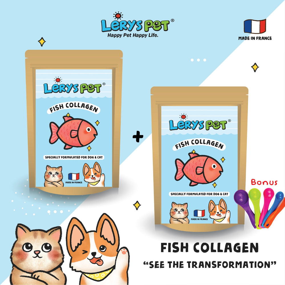 Premium Fish Collagen 100gr - leryspet