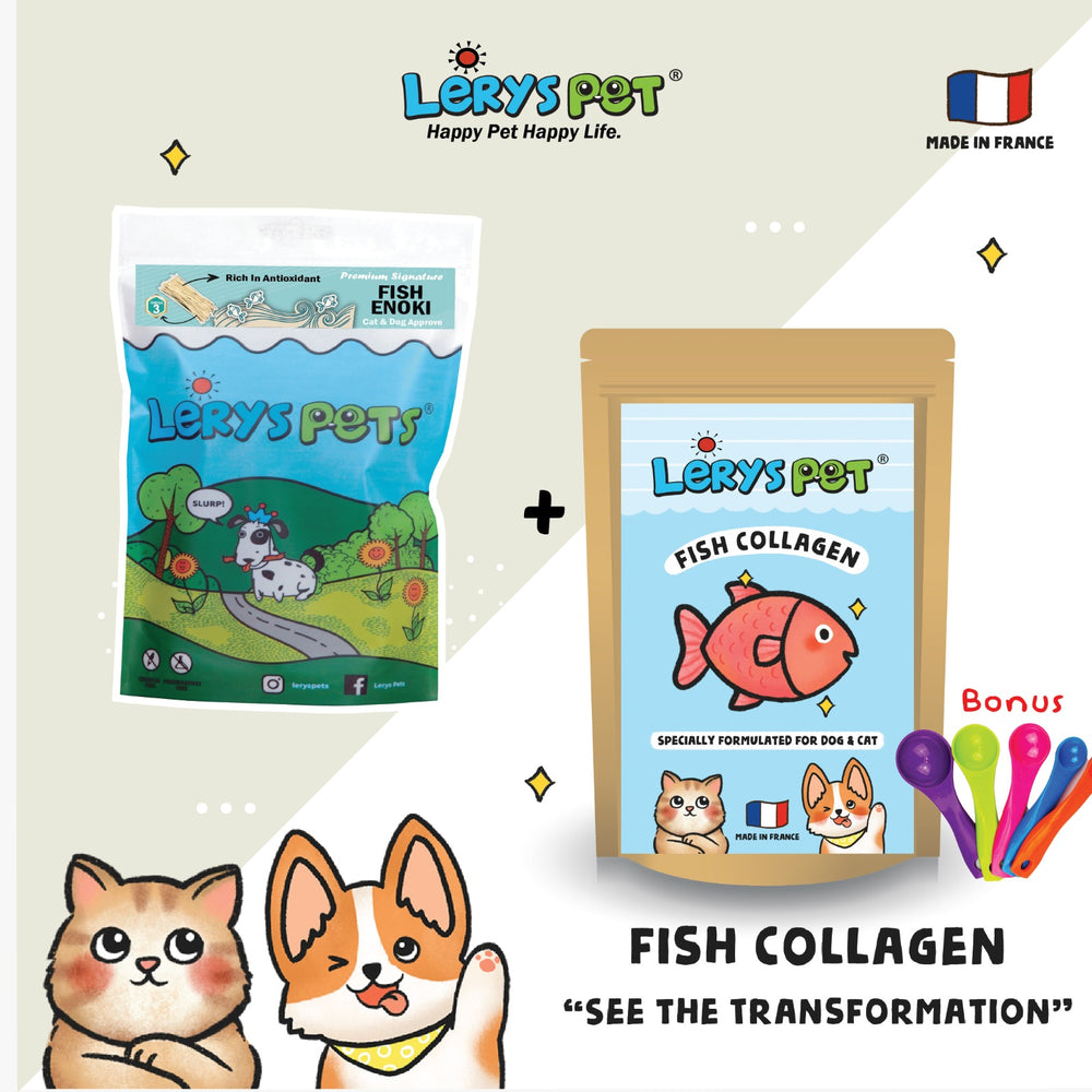 Premium Fish Collagen 50g + Fish Enoki Cat & Dog Leryspet