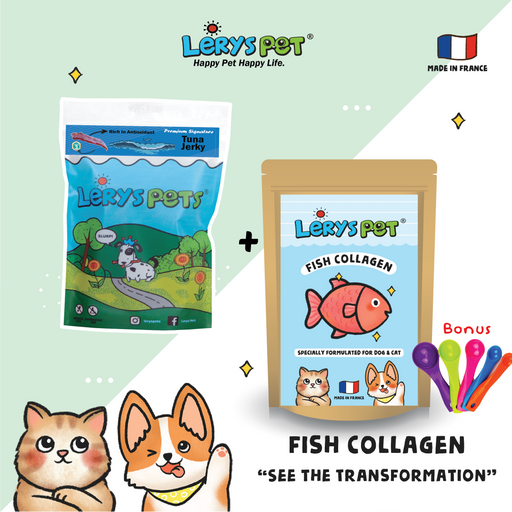 Premium Fish Collagen 50g + Tuna Jerky Cat & Dog Leryspet