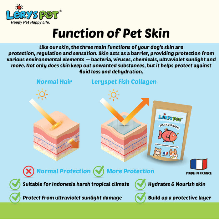 Probiotic + Fish Collagen | Suplement Vitamin | Cat Dog | Nutrisi Kesehatan Anjing Kucing | Leryspets