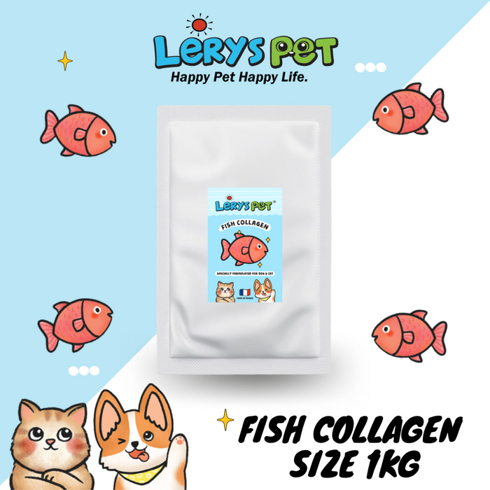 Premium Fish Collagen 1 Kg